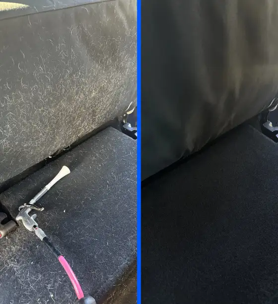 Pet hair before and after